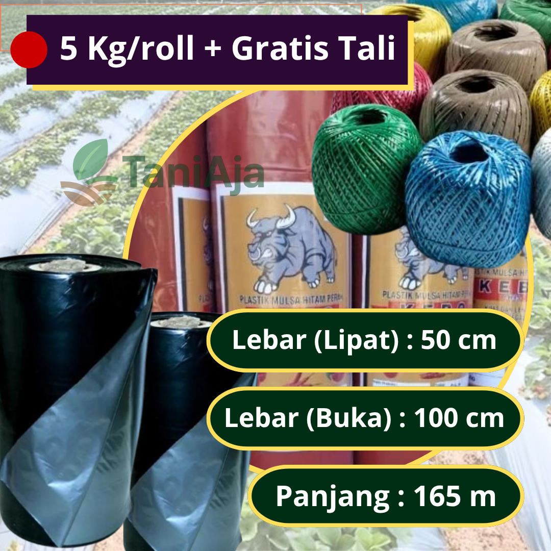 Plastik Mulsa Hitam Perak 5Kg Ukuran 60cm x 275m Bonus Rafia